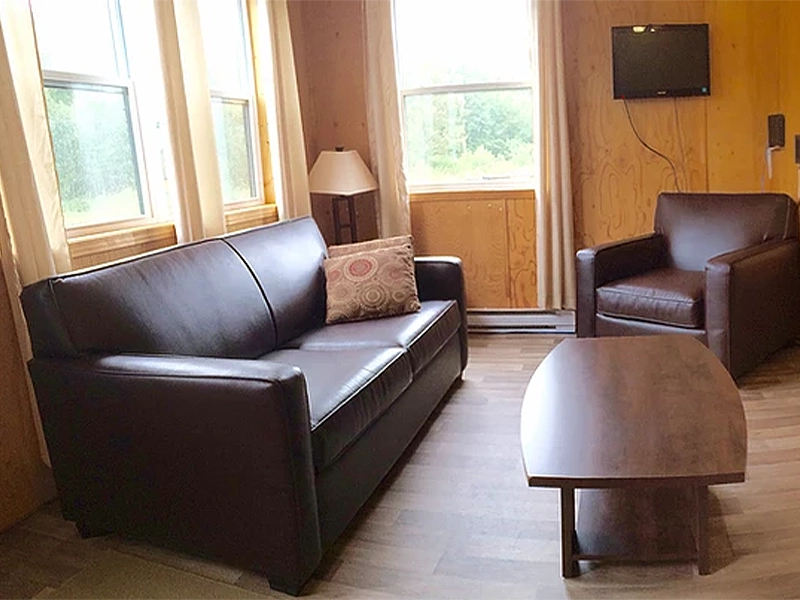 Vue du coin salon à l'intérieur d'un chalet